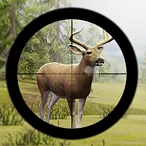 Contract Deer Hunter