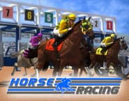 Horse Racing Online